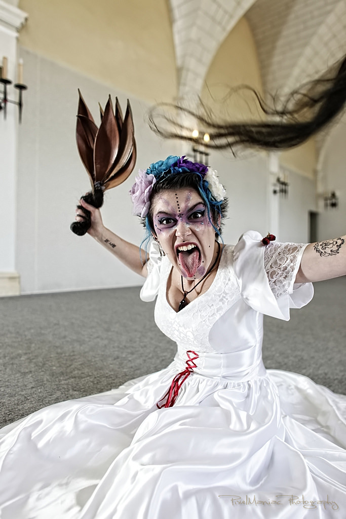 IMG 3997 2 16929280375